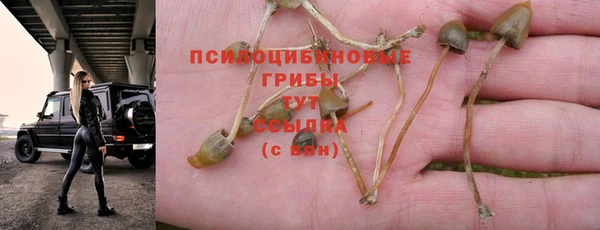 дживик Медногорск