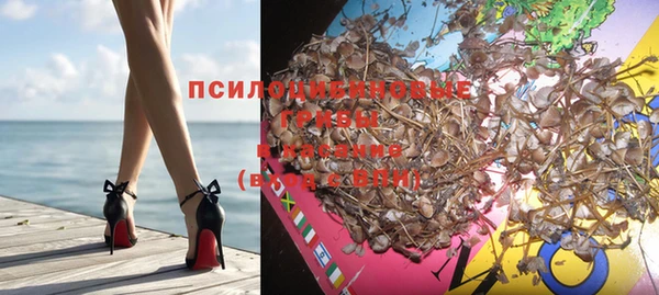 твердый Мегион