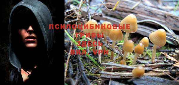 твердый Мегион