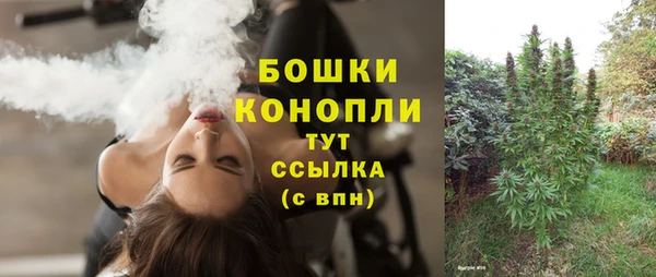 альфа пвп Медвежьегорск