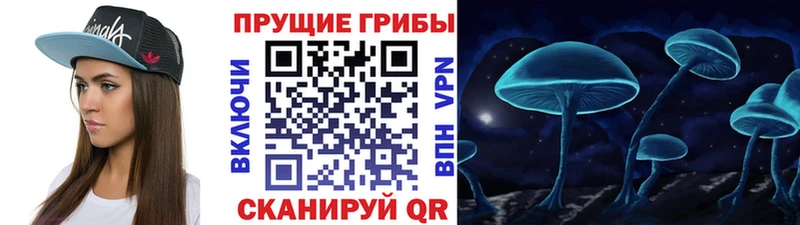Галлюциногенные грибы прущие грибы  как найти   Чайковский 