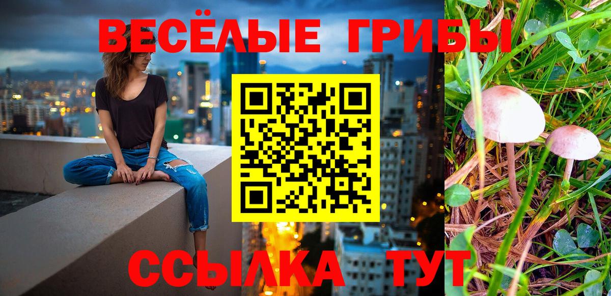 Галлюциногенные грибы мухоморы  Псилоцибиновые грибы Magic Shrooms  Чайковский  Вход с VPN 